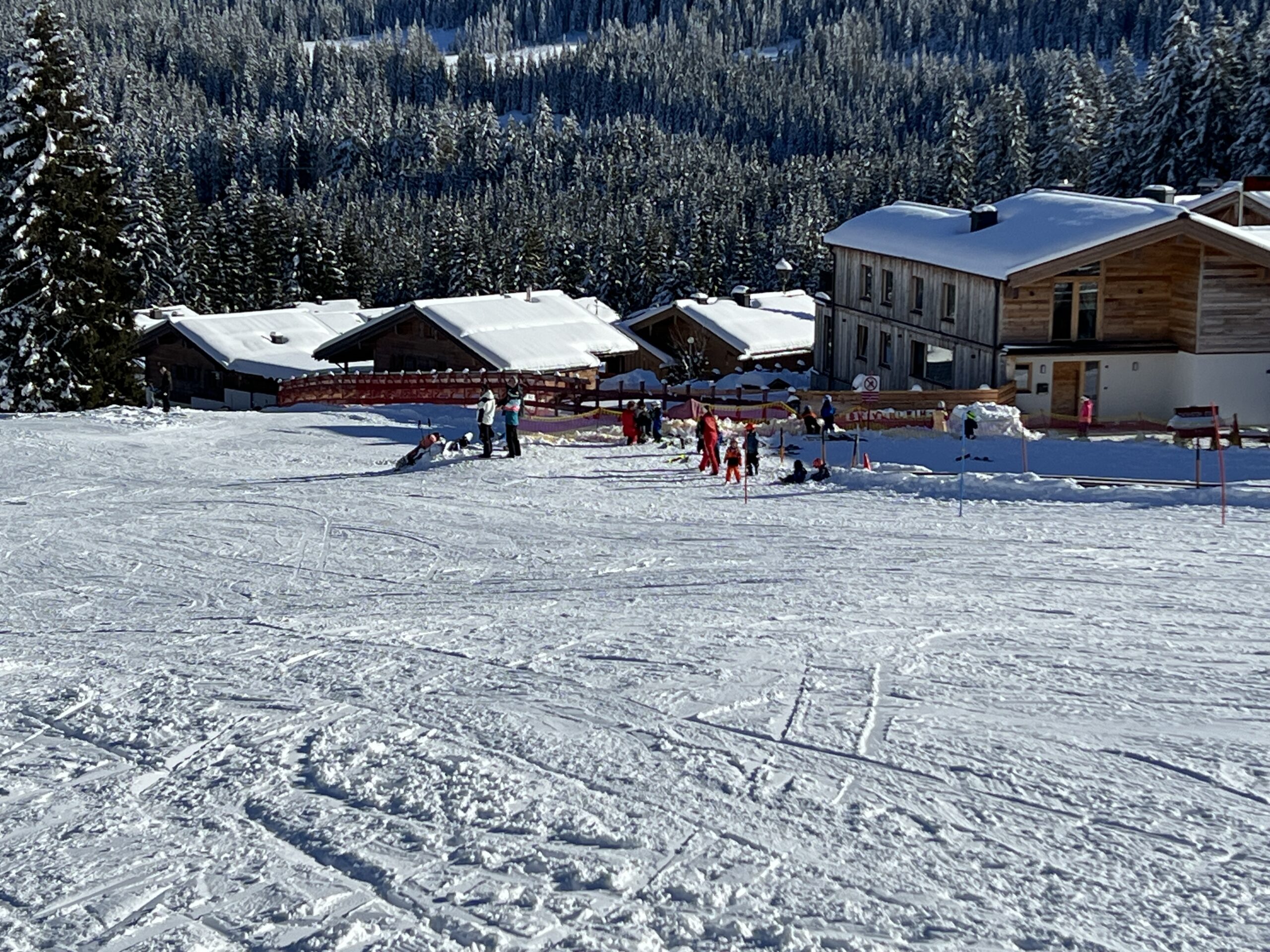 IMG_4732