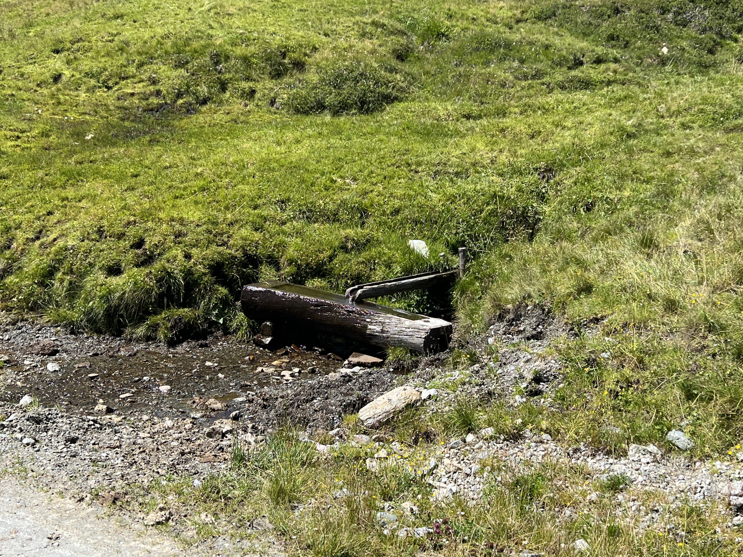IMG_3070